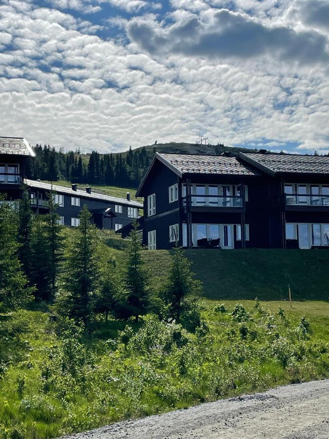 Apartmán Bualie Golsfjellet Exteriér fotografie
